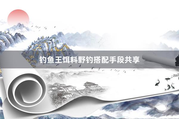 钓鱼王饵料野钓搭配手段共享